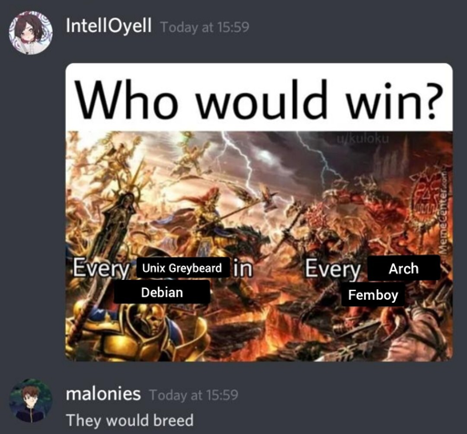 "Who would win?" Asked the user IntelOyell with mild curiosity, "Every Unix Greybeard in Debian or Every Arch Femboy?" But before even one minute could pass, Malonies was already screaming "they would breed" with that accursed voice of theirs. 